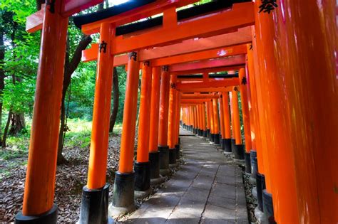 東京 風水|東京のおすすめパワースポット11選！最強の恋愛神社。